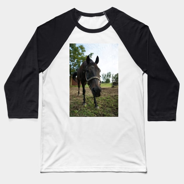 stallion Baseball T-Shirt by KensLensDesigns